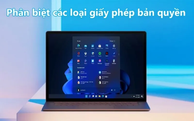 Các Loại Key Bản Quyền Windows (10)