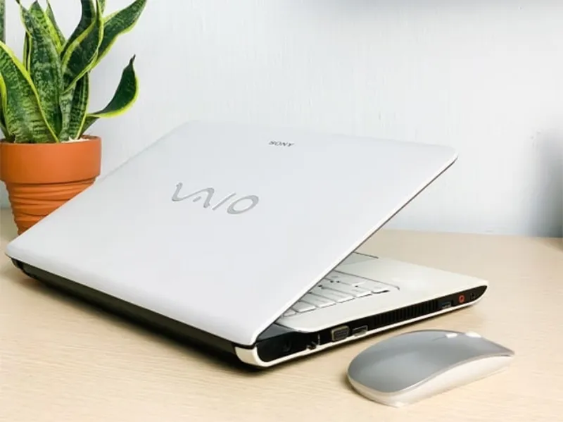 Cách Vào Boot Menu Sony Vaio Từ Usb (13)