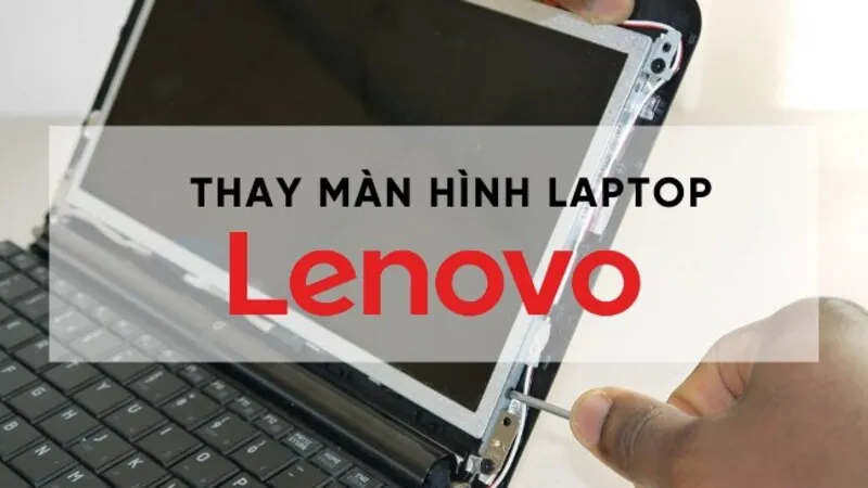 Nơi Bán Màn Hình Lenovo Giá Sỉ (11)