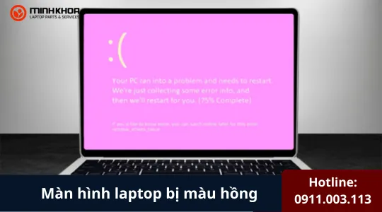 Màn Hình Laptop Bị Màu Hồng (2)