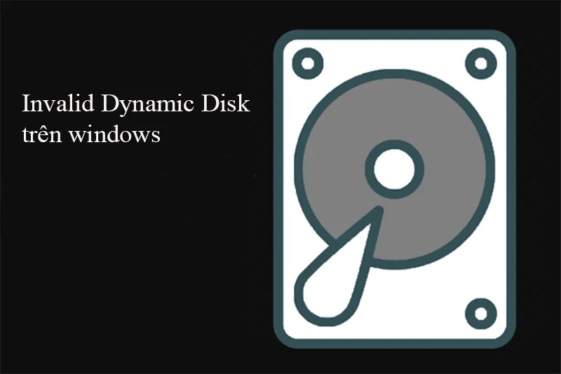 Invalid Dynamic Disk Trên Windows (19)