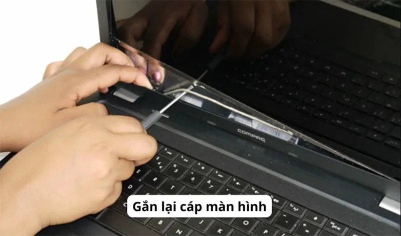 Laptop Lỏng Cáp Màn Hình​ (4)