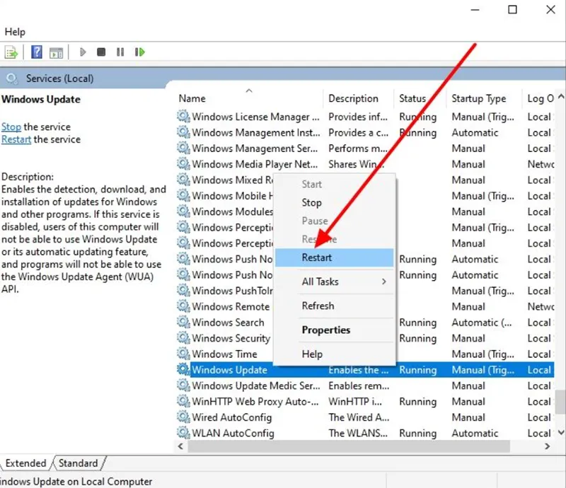 Windows Update Download Error 0x80248007 (6)