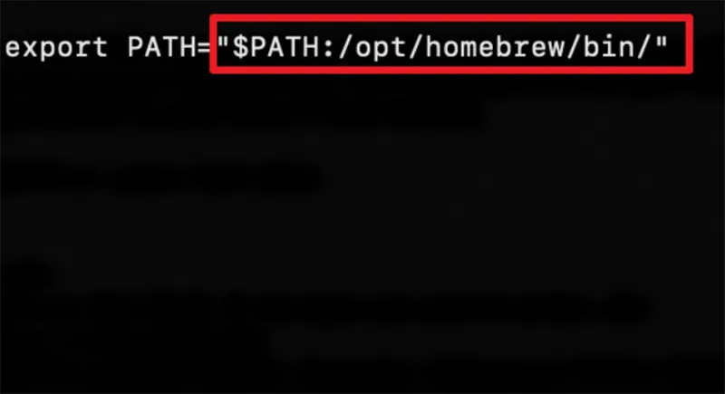 Khắc Phục Lỗi Zsh Command Not Found Code Trên Macos (5)