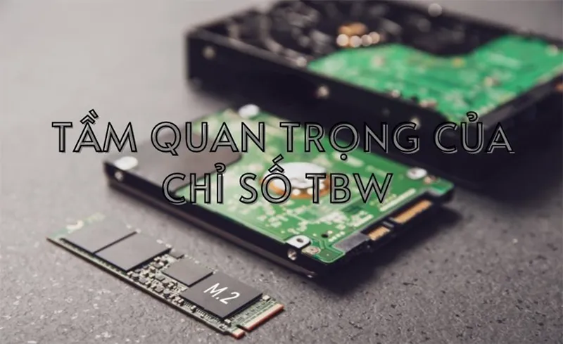 Sd Tbw Là Gì Cách Kiểm Tra Tbw Trên Sdd (1)