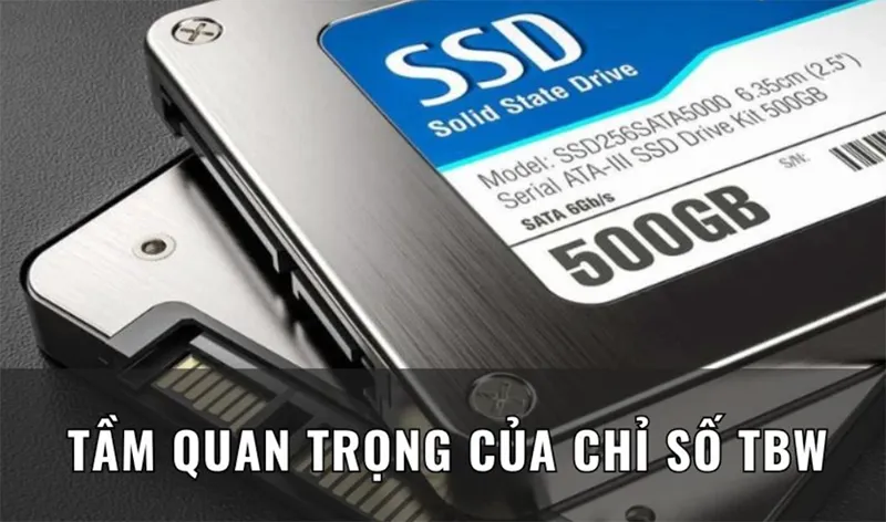 Sd Tbw Là Gì Cách Kiểm Tra Tbw Trên Sdd (6)
