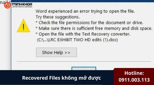 Recovered Files Không Mở được (1)