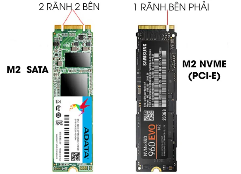 So Sánh Ssd Và Ssd M2 (1)