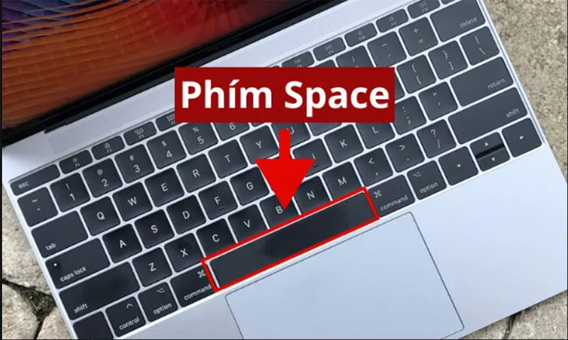 Phím Space ở đâu Trên Bàn Phím (6)