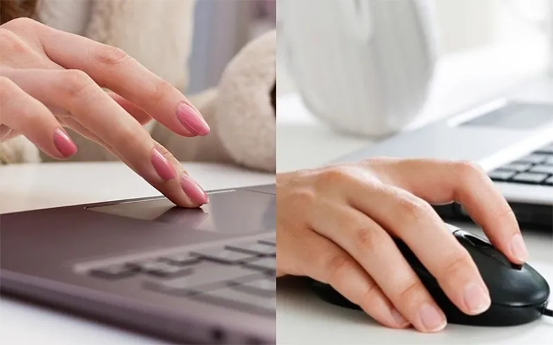 Cách Kiểm Tra Chuột Hiệu Quả (chi Tiết A Z) (1)