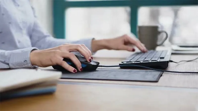 Cách Kiểm Tra Chuột Hiệu Quả (chi Tiết A Z) (10)