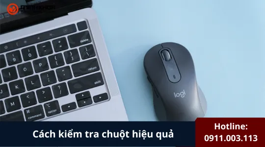 Cách Kiểm Tra Chuột Hiệu Quả (chi Tiết A Z) (3)