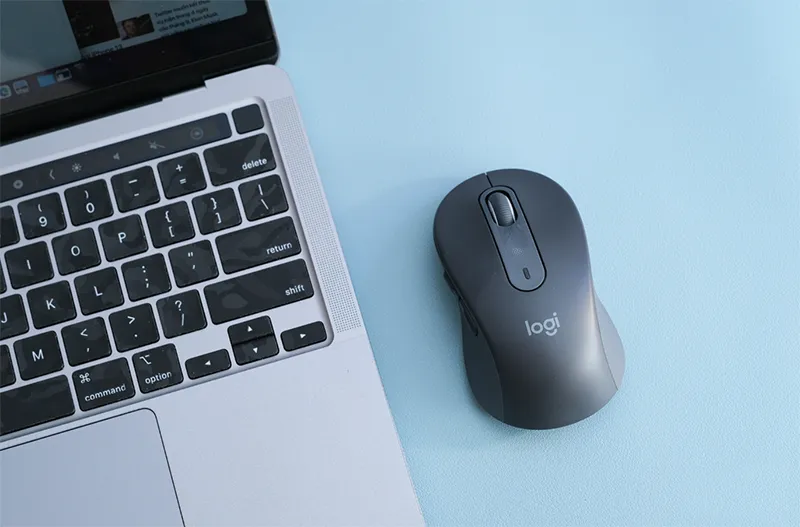 Cách Kiểm Tra Chuột Hiệu Quả (chi Tiết A Z) (4)