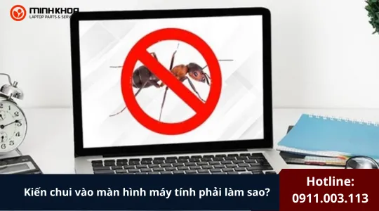 Kiến Chui Vào Màn Hình Máy Tính Phải Làm Sao (2)