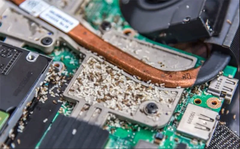 Kiến Chui Vào Màn Hình Máy Tính Phải Làm Sao (4)