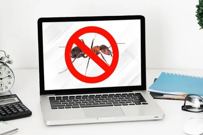 Kiến Chui Vào Màn Hình Máy Tính Phải Làm Sao (5)