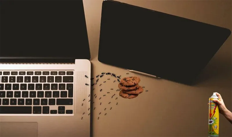 Kiến Chui Vào Màn Hình Máy Tính Phải Làm Sao (7)