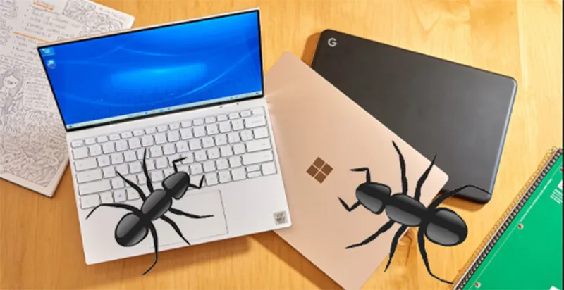 Kiến Chui Vào Màn Hình Máy Tính Phải Làm Sao (8)