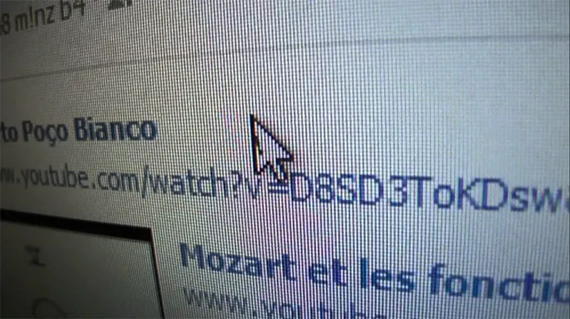 Kiến Chui Vào Màn Hình Máy Tính Phải Làm Sao (9)