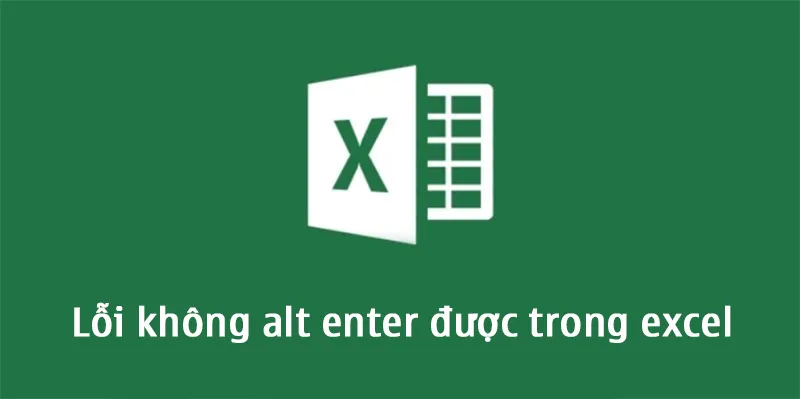 Lỗi Không Alt Enter được Trong Excel (3)