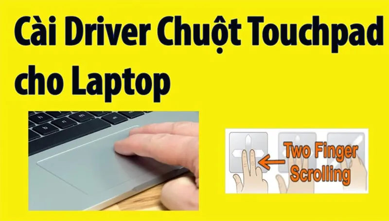 Mở Khóa Chuột Cảm ứng Của Laptop Hp (6)