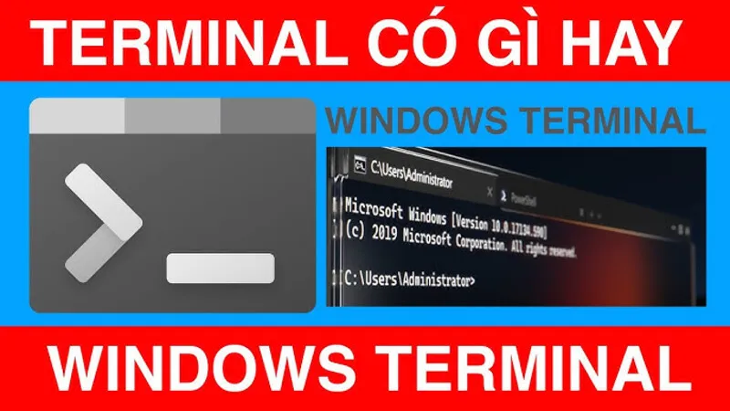 Terminal Là Gì (8)