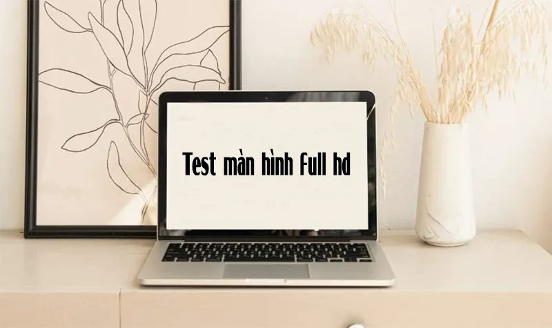 Test Màn Hình Full Hd (9)