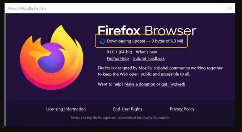 Cách Khắc Phục Video Không Phát Trên Firefox (14)