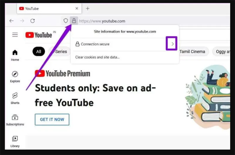 Cách Khắc Phục Video Không Phát Trên Firefox (17)