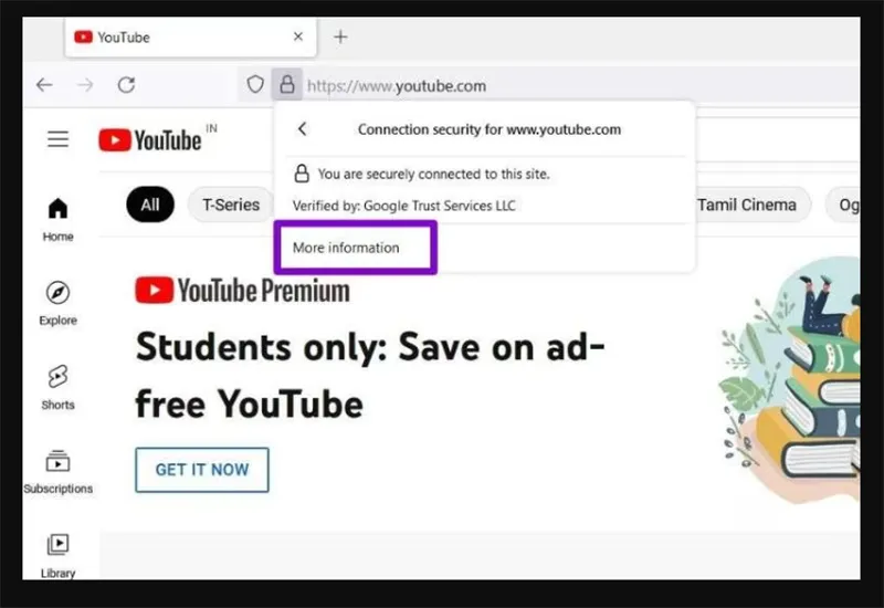 Cách Khắc Phục Video Không Phát Trên Firefox (2)