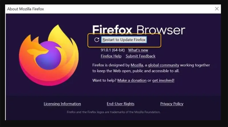 Cách Khắc Phục Video Không Phát Trên Firefox (9)