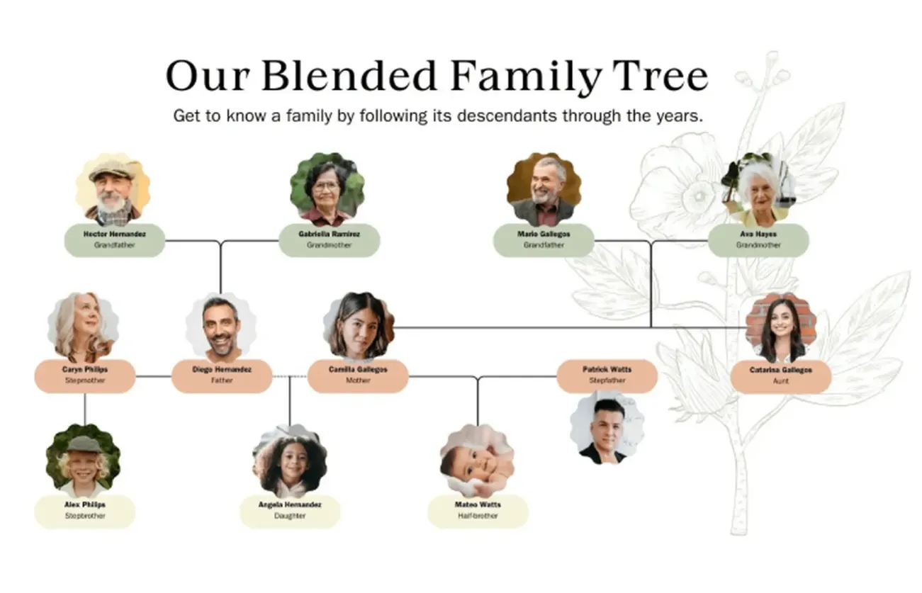 Cách Làm Cây Gia Phả Trong Word (13)