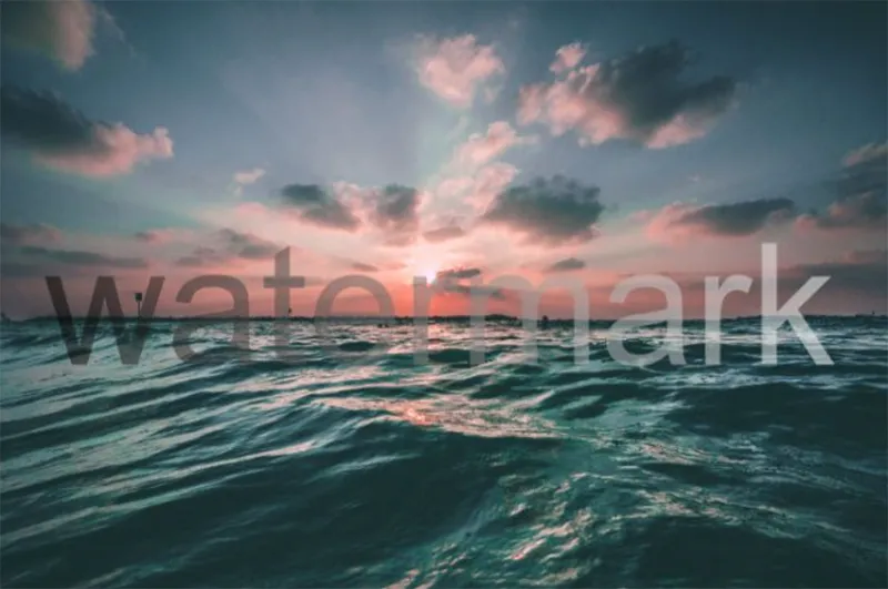 Cách Thêm Hình Mờ Vào Pdf (12)