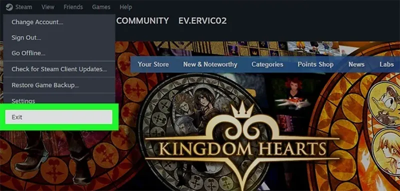 Lỗi Steam Disk Write Là Gì (13)