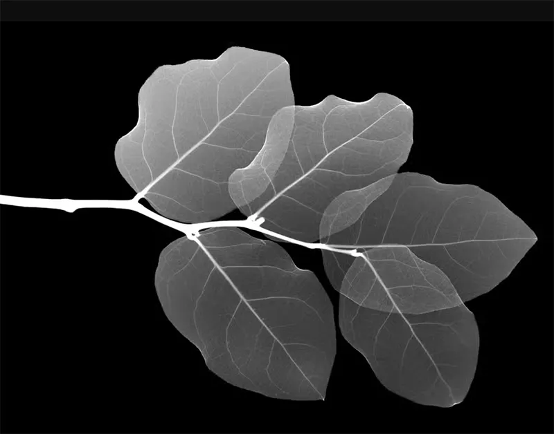 Tìm Hình Nền Desktop đang Hiển Thị Trên Windows 8, 10, 11 (13)