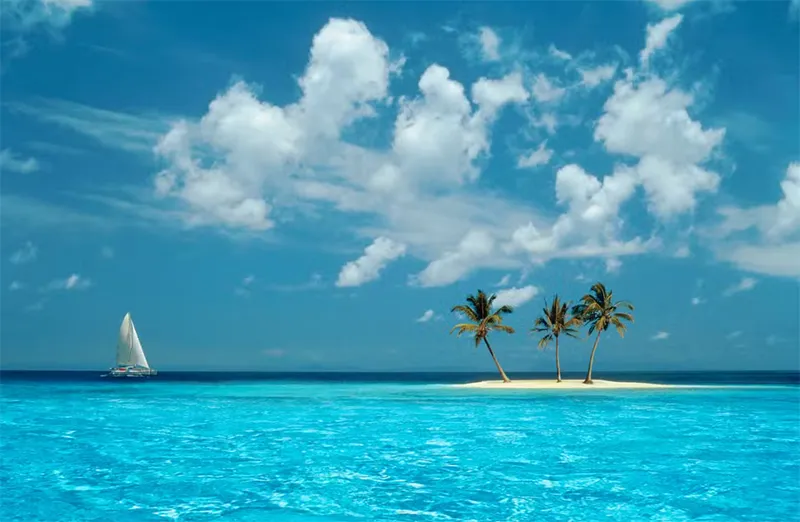 Cách Tìm Hình Nền Desktop đang Hiển Thị Trên Windows (11)