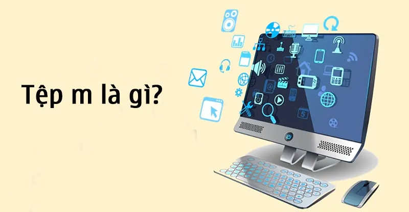 Tệp M Là Gì (6)
