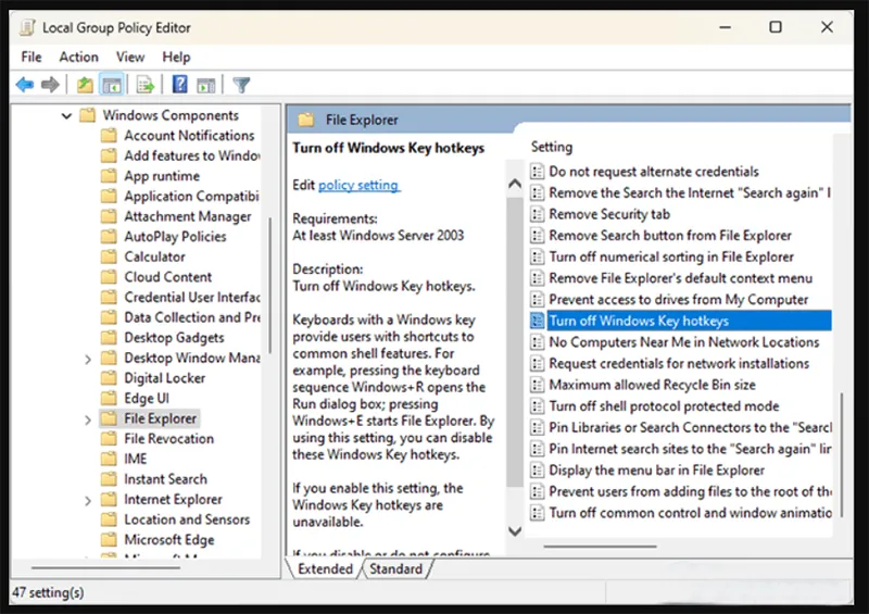Cách Tắt Windows Key Alt + Tab Và Sticky Keys Khi Chơi Game (1)