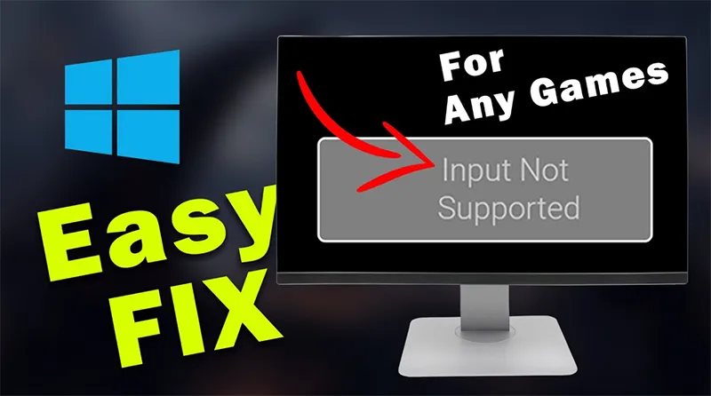 Lỗi Input Not Supported (10)