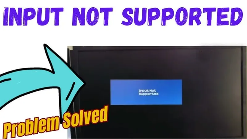 Lỗi Input Not Supported (4)
