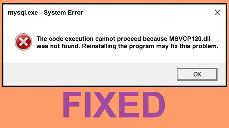 Lỗi The Code Execution Cannot Proceed (2)