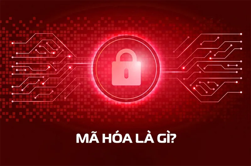 Mã Hóa Là Gì Và Cách Thức Vận Hành Của Mã Hóa Ra Sao (16)