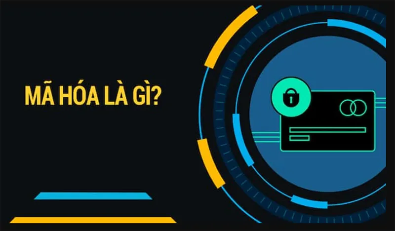 Mã Hóa Là Gì Và Cách Thức Vận Hành Của Mã Hóa Ra Sao (18)