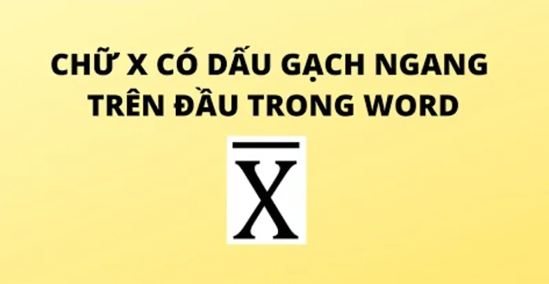 Cách Viết X Ngang Trong Word (5)