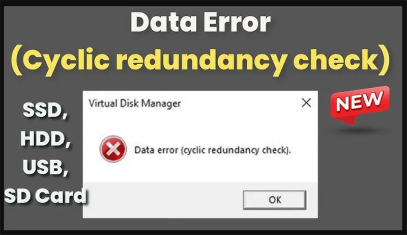 Data Error Cyclic Redundancy Check (6)