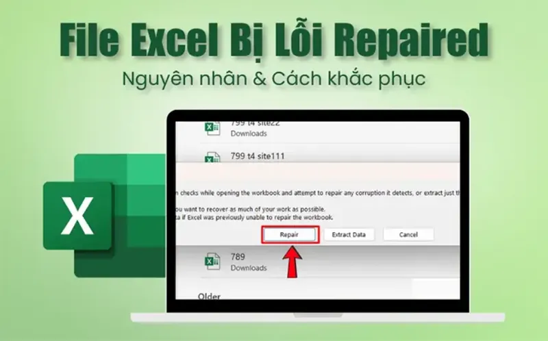 Lỗi Repair Trong Excel Là Gì (10+ Cách Fix) (6)